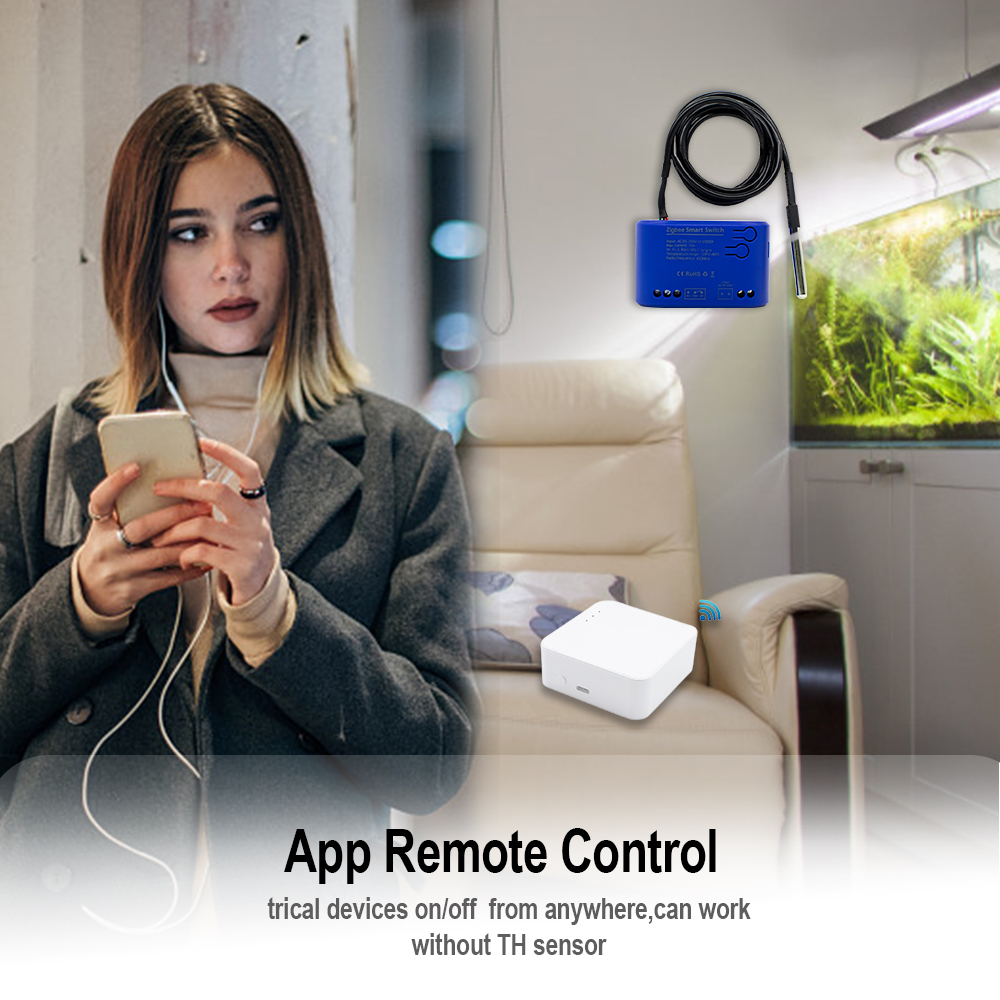 Zigbee – interrupteur intellig - Relay Module 1 Channel avis et prix